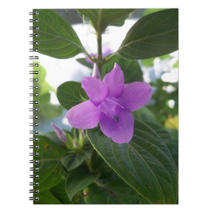 Purple Philippine Violet Notebook
