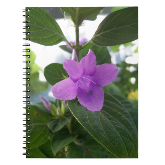 Purple Philippine Violet Notebook (Front)