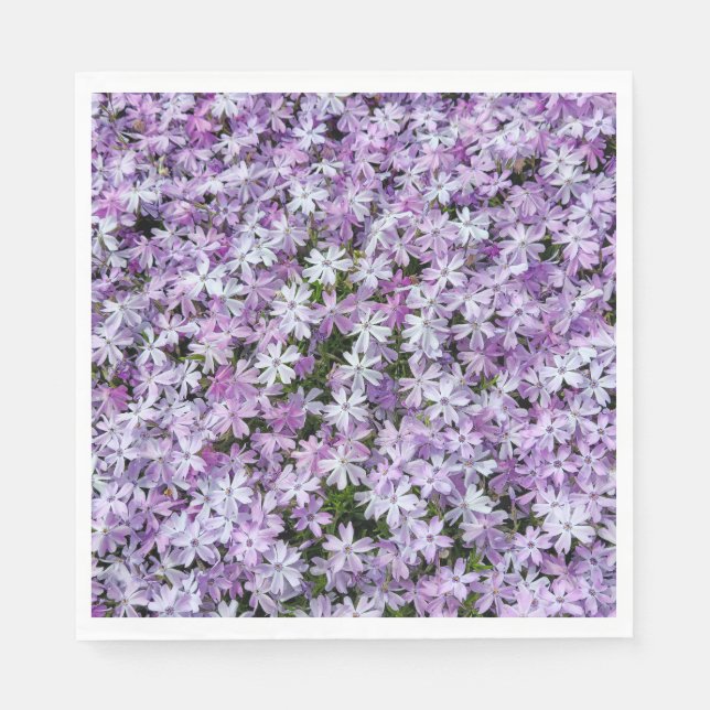 Purple Phlox Flowers Napkin (Front)