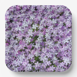 Purple Phlox Flowers Paper Plate