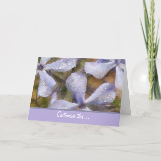 Purple Phlox Greeting Card (Front)