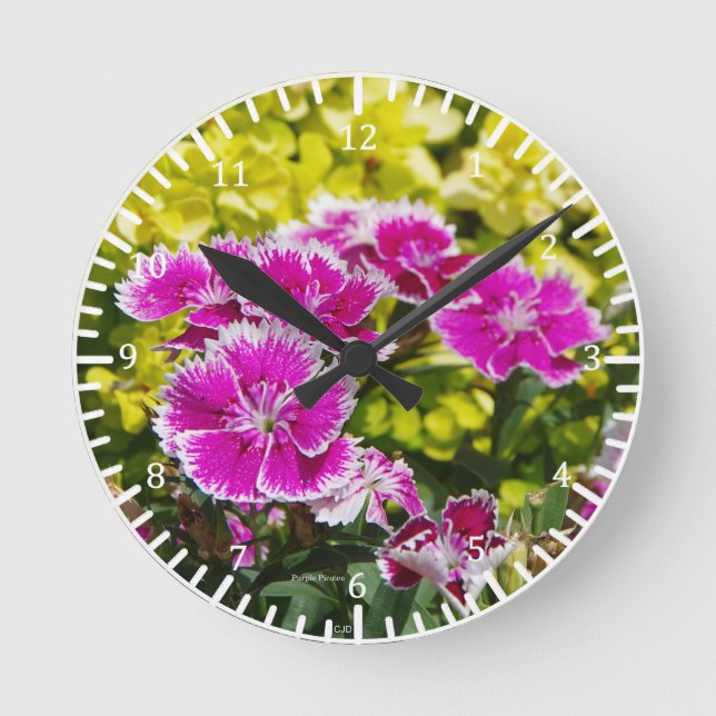 Purple Picotee clock (Front)