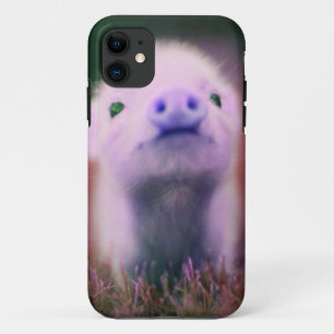 Purple Pigsy iPhone 11 Case