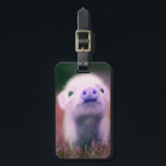 Purple Pigsy Luggage Tag<br><div class="desc">Just another purple pig</div>