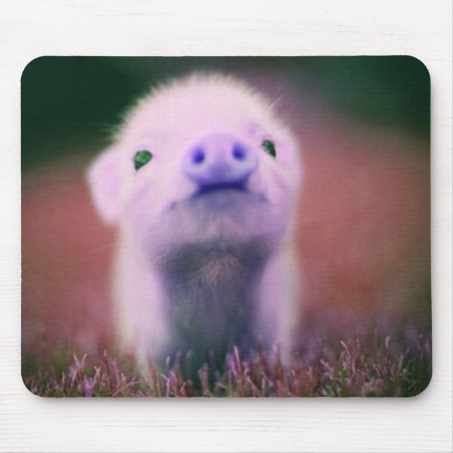 Purple Pigsy Mouse Mat (Front)