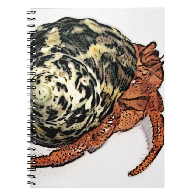 Purple Pincher Hermit Crab Design Notebook (Front)