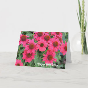 Purple Pink Coneflowers Birthday Card