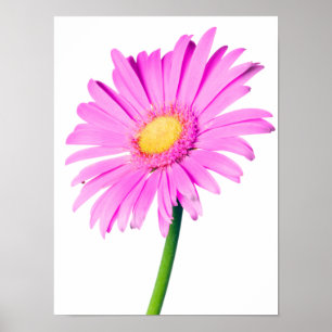 Purple Pink Daisy Customized  Daisies Template Poster