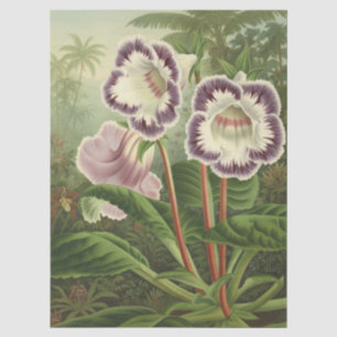 Purple Pink Gloxinia Botanical Floral Tropical Art Tissue Paper