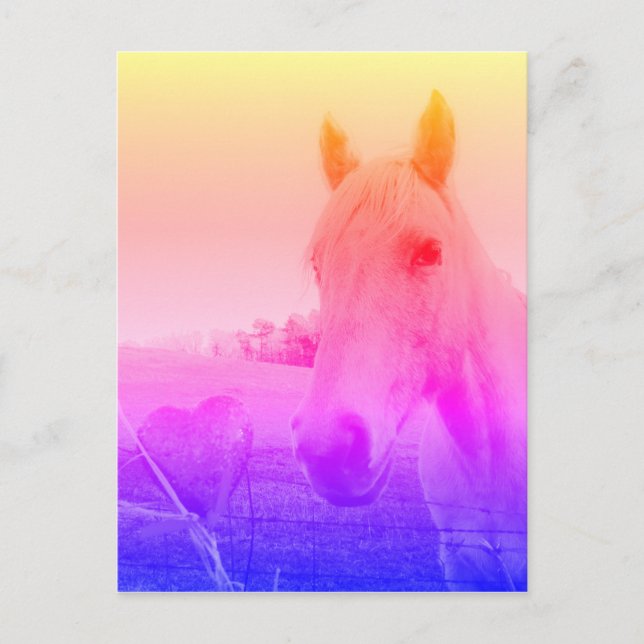 Purple pink Horse & Heart Postcard (Front)