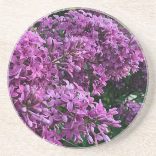 Purple-pink lilacs   purple pink floral photo coaster