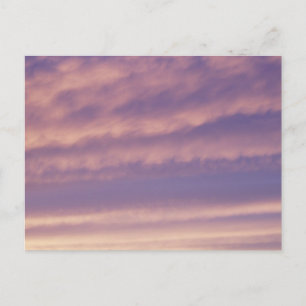 Purple Pink Sky Postcard