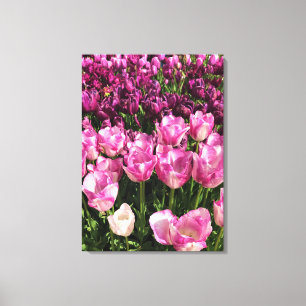 Purple & Pink Tulip Garden Bed, Oregon Canvas Print