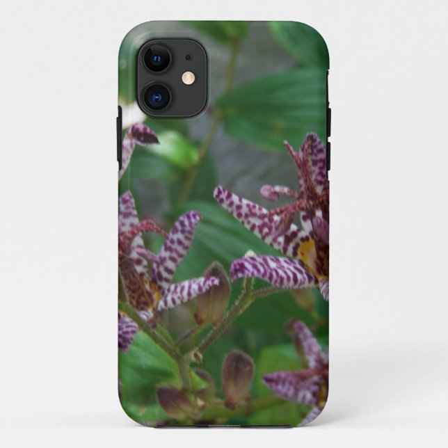 Purple pink white striped orchid like flower lilly Case-Mate iPhone case (Back)