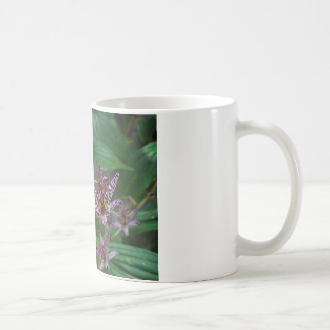 Purple pink white striped orchid like flower lilly coffee mug (Right)