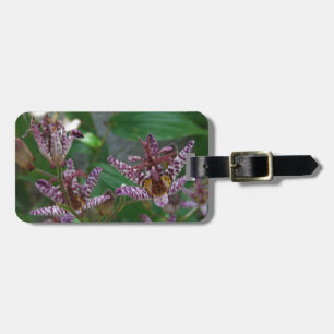 Purple pink white striped orchid like flower lilly luggage tag