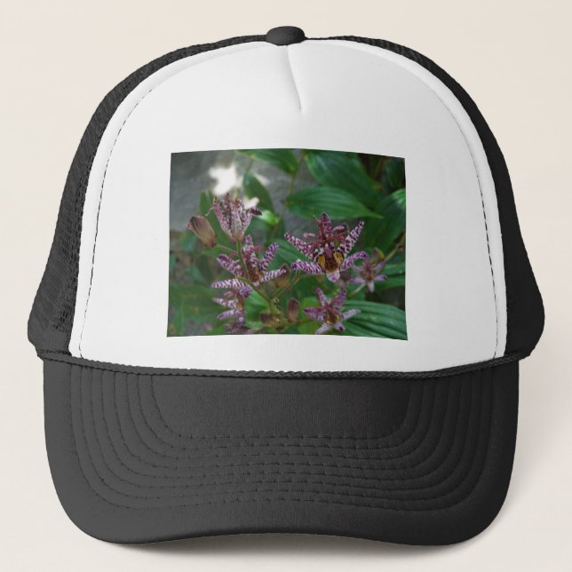 Purple pink white striped orchid like flower lilly trucker hat (Front)
