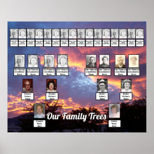 Purple Pink Yellow Sunset Photo 2 Family Trees Poster