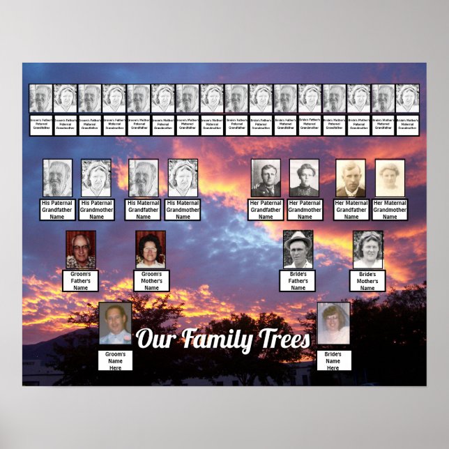 Purple Pink Yellow Sunset Photo 2 Family Trees  Poster (Front)
