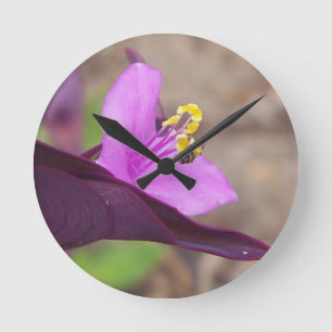purple plant called spiderwort and a tiny bee round clock