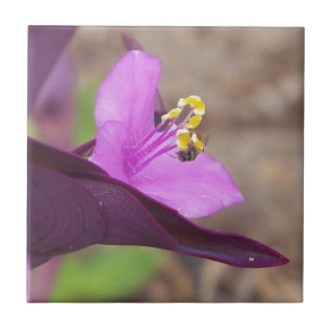 purple plant called spiderwort and a tiny bee tile