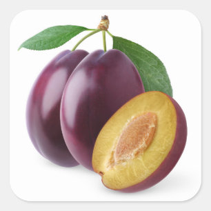 Purple plums square sticker