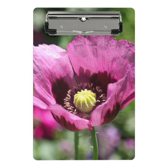 Purple Poppy Clipboard (Front)