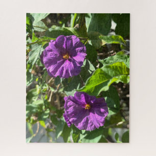 Purple Potato Bush, Oakland Jigsaw Puzzle
