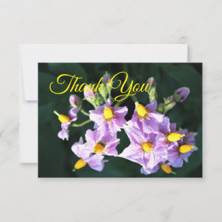 Purple Potato Flower  Thank You Card