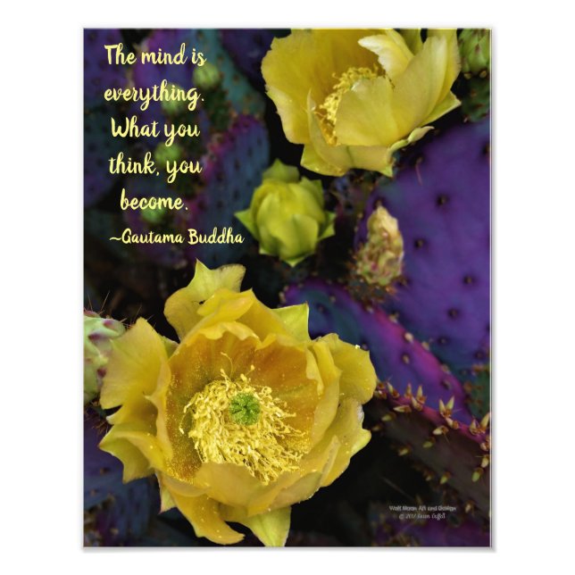 Purple prickly pear opuntia cactus yellow flowers photo print (Front)