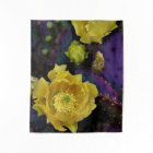 Purple Prickly Pear Opuntia Cactus Yellow Flowers