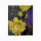 Purple Prickly Pear Opuntia Cactus Yellow Flowers