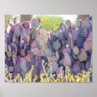 Purple Prickly Pears | Poster
