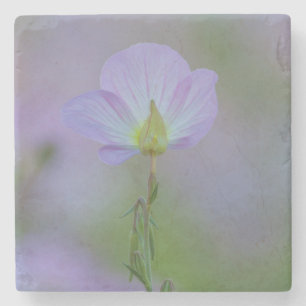 Purple Primrose Stone Coaster