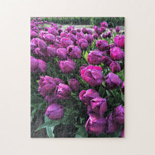 Purple Prince Tulips Jigsaw Puzzle