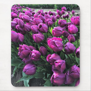 Purple Prince Tulips Mouse Mat
