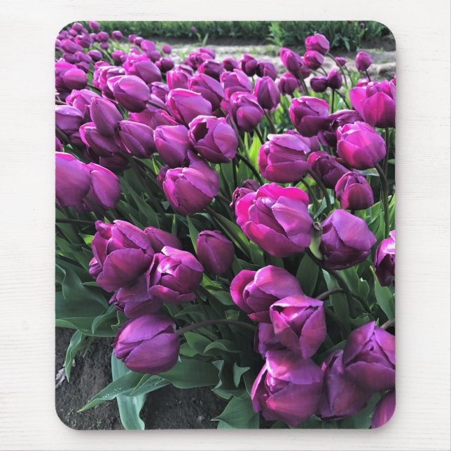 Purple Prince Tulips Mouse Mat (Front)