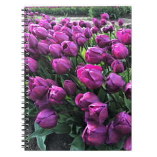 Purple Prince Tulips Notebook
