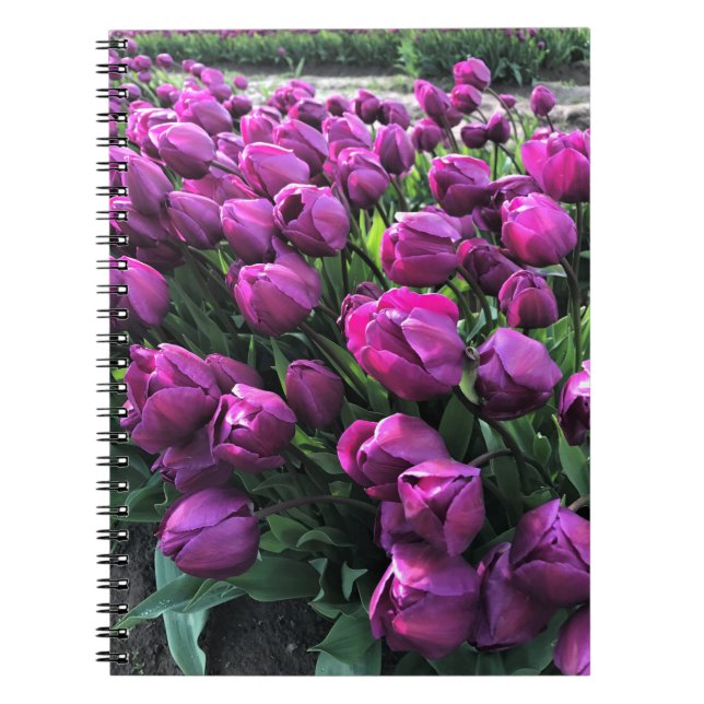 Purple Prince Tulips Notebook (Front)