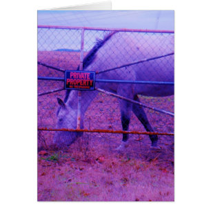 Purple Private Property Horse