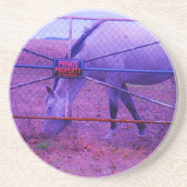 Purple Private Property Horse Coaster (Front)