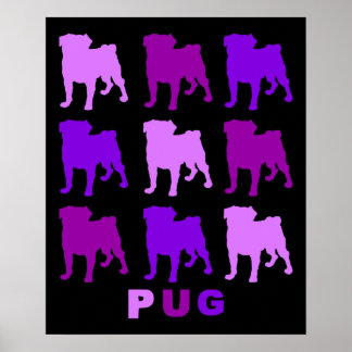 Purple Pugs on Black Poster