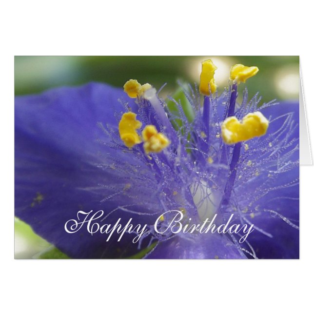 Purple Queen-A (Front Horizontal)