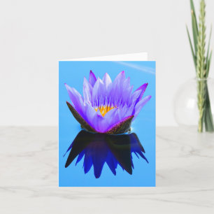 Purple Reflected Water Lily Note Greeting Cards