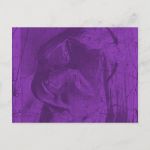 Purple Reflections Postcard