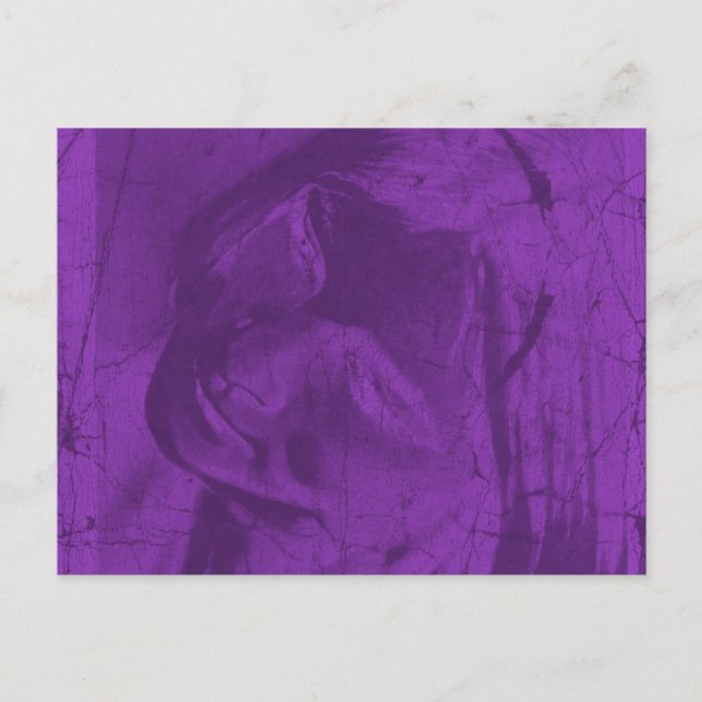 Purple Reflections Postcard (Front)