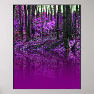 Purple Reflections poster