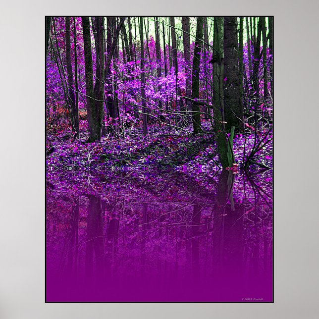 Purple Reflections poster (Front)