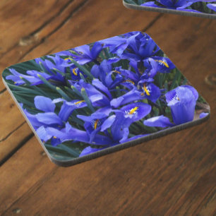 Purple Reticulated Irises Floral Coaster