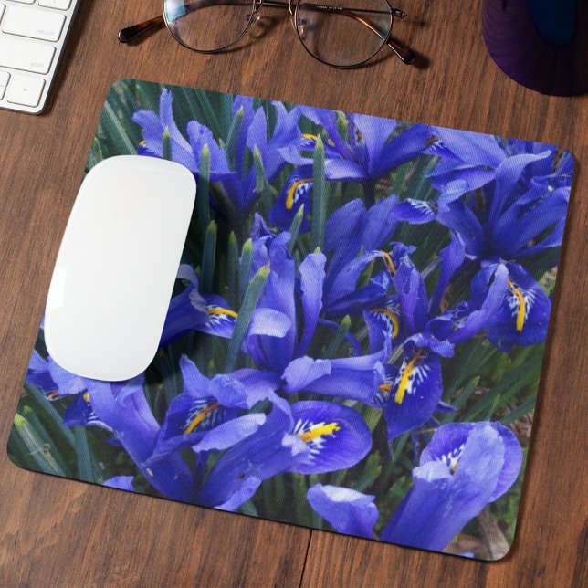Purple Reticulated Irises Floral Mouse Mat (In Situ)